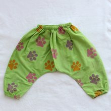 Load image into Gallery viewer, dino didi angrakha top &amp; green harem pants set

